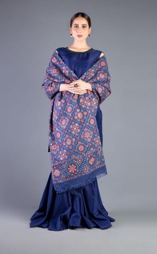 Sarinnah D24-Formal heavy Embroidered Dhanak heavy emb shirt nd Dhanak ready to wear shawl